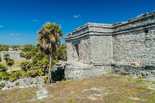 Harabeleri antik Maya kentin Tulum, Meksika