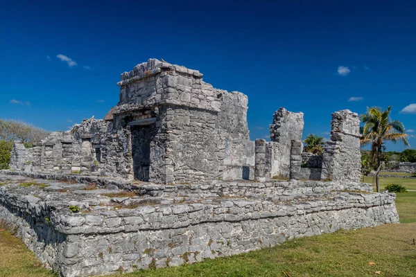 Harabeleri antik Maya kentin Tulum, Meksika