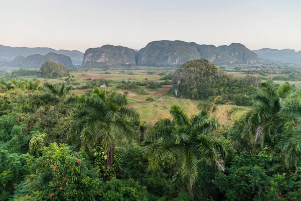 Sabah görünümünü Vinales Vadisi ile mogotes (kalker tepe), Küba