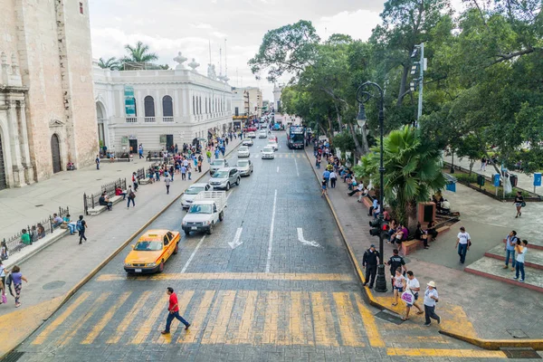 Merida Meksika Şubat 2016 Bir Trafik Plaza Grande Meydanı Merida — Stok fotoğraf