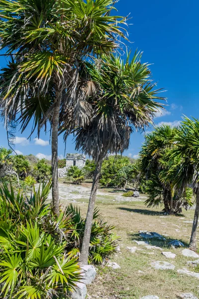 Harabeleri antik Maya kentin Tulum, Meksika