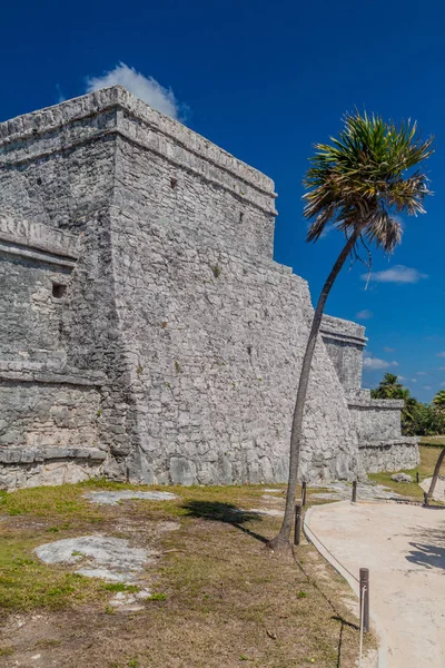 Harabeleri antik Maya kentin Tulum, Meksika