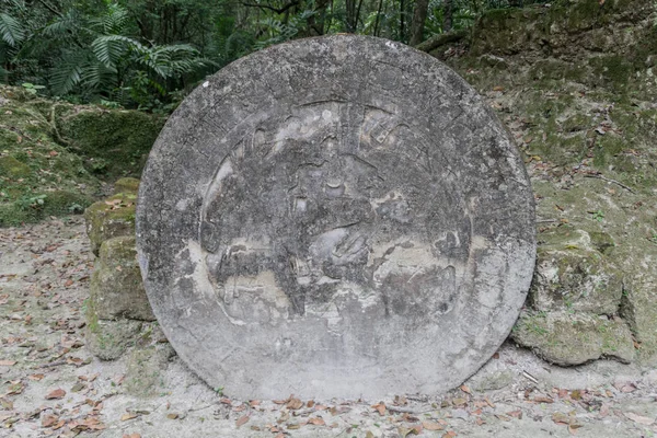 Régészeti Helyszínen Tikal Guatemala Oltár — Stock Fotó
