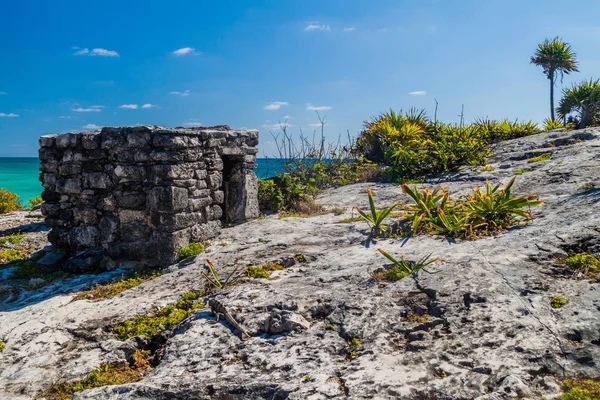 Ruins Ancient Maya City Tulum Mexico — Stock Photo, Image