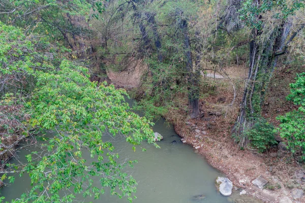 Rio Azur river lined by Montezuma cypress (Taxodium mucronatum) trees, Guatemala