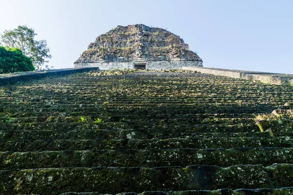 Scala Del Tempio Presso Sito Archeologico Tikal Guatemala — Foto Stock
