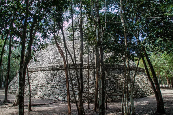 Coba, Meksika Maya şehir kalıntıları resimlere Tapınağı