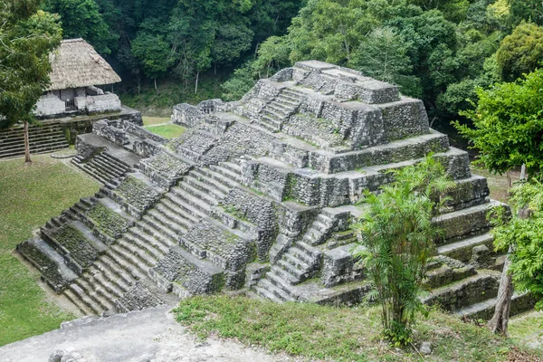 Kuzey Acropolis adlı sit alanı Yaxha, Guatemala, piramit