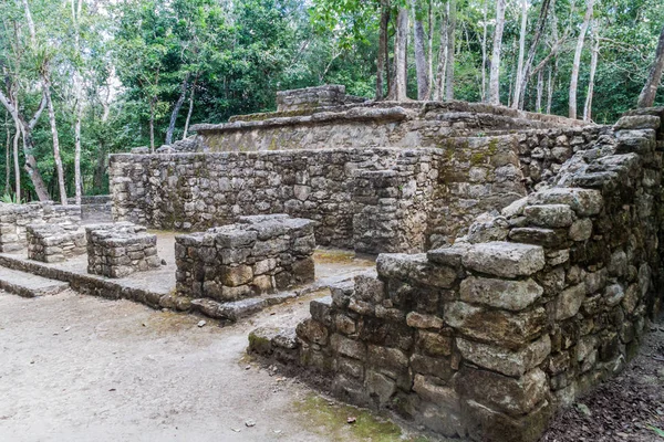 Ruiny Majów Miasta Coba Meksyk — Zdjęcie stockowe