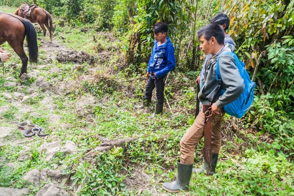 Yalambojoch Guatemala Marzo 2016 Ragazzi Del Posto Che Hanno Ucciso — Foto Stock