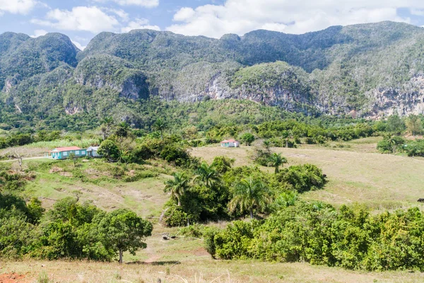 Vista Del Valle Guasasa Cerca Vinales Cuba — Foto de Stock