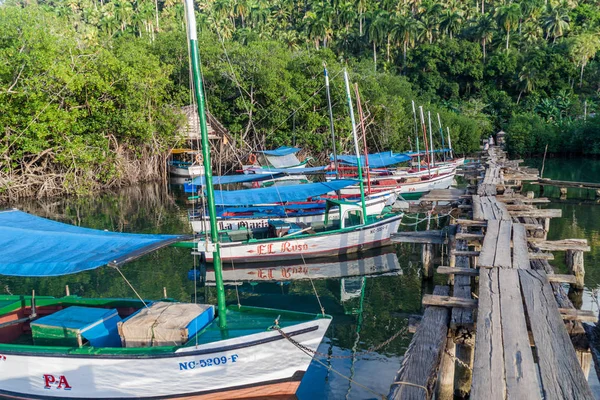Boca De Miel, Küba - 4 Şubat 2016: Balıkçı tekneleri, Rio Miel nehir ağzı Baracoa, Küba yakınındaki demir attı
