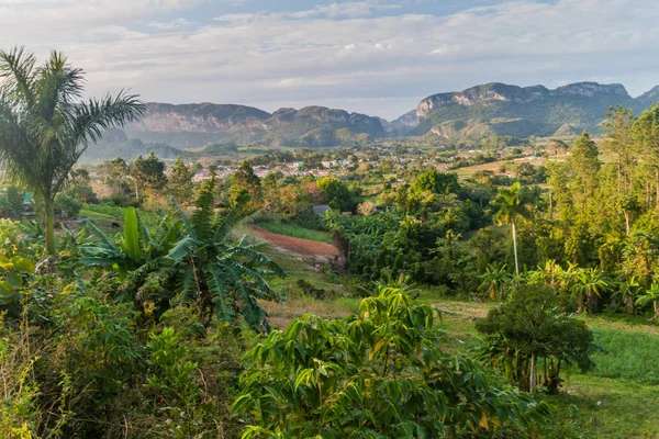 Küba Vinales köyünün havadan görünümü.