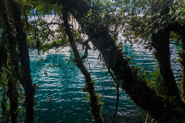 Готель Laguna Brava Yolnabaj Озеро Гватемала — стокове фото
