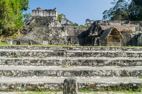 Harabeleri Gran Plaza arkeolojik alanında Tikal, Guatemala