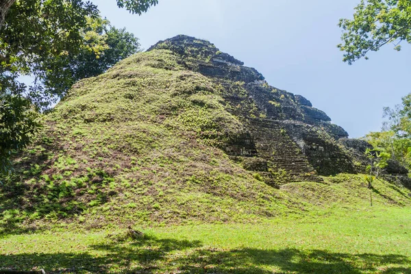 Piramida Stanowisko Archeologiczne Tikal Gwatemali — Zdjęcie stockowe