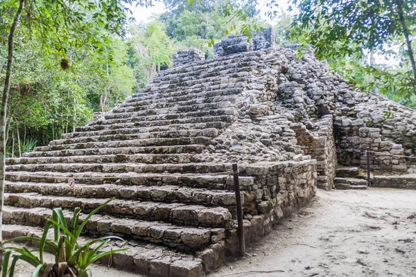 Pirámide Las Ruinas Ciudad Maya Coba México — Foto de Stock