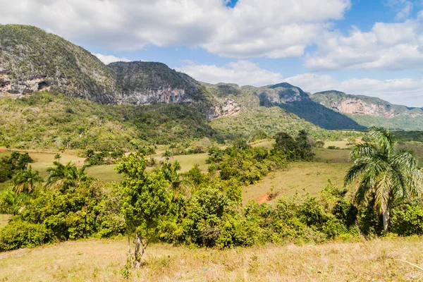 ビニャーレス キューバの近く Guasasa 渓谷の景色 — ストック写真