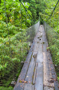 Asma köprü, hiking trail Sendero Los Quetzales Milli Parkı Volcan Baru içinde yağışlı sezon sırasında Panama.