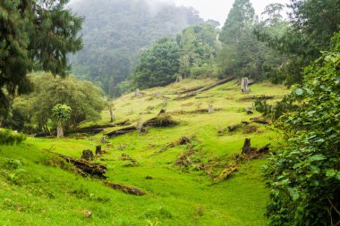 Bajo Grande köyü yakınlarında Baru yanardağ, Panama yakınındaki Temizleme