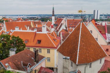 Çatı Old Town Tallinn, Estonya