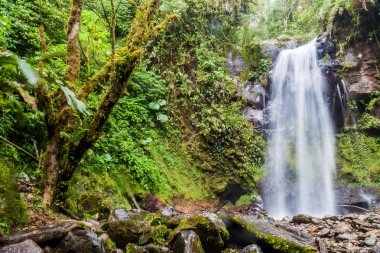 Şelale Boquete, Panama yakınındaki bir bulut ormanda. İz hiking şelaleler kaybetti tarafından erişilebilir.