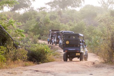 Uda Walawe, Sri Lanka - 14 Temmuz 2016: turistler safari cip Uda Walawe Milli Parkı, Sri Lanka