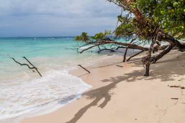 Isla Zapatilla Island, Bocas del Toro adalar, Panama parçası Beach