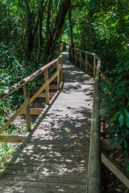 Boardwalk içinde Milli Parkı Manuel Antonio, Kosta Rika