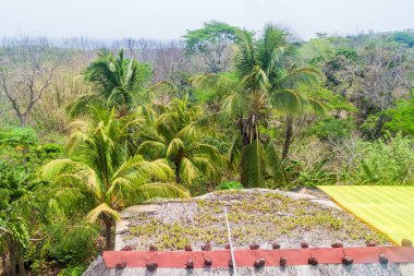 Thatched kulübe, parçası bir hostel: Ometepe Island, Nicaragua