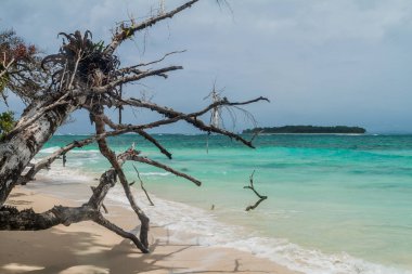 Isla Zapatilla sahil Adası, Bocas del Toro adalar, Panama parçası