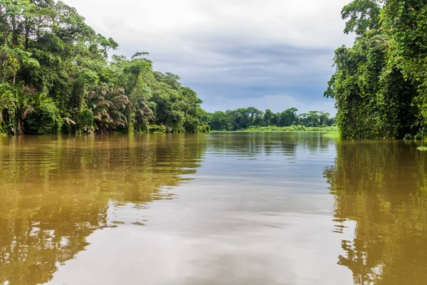 Fluss Tortuguero Nationalpark Costa Rica — Stockfoto