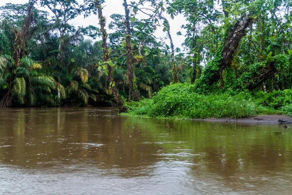 Fluss Suerte Costa Rica — Stockfoto