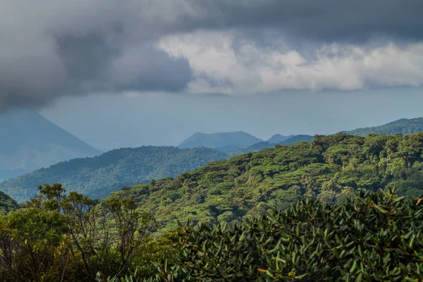 Rezerv Biyoloca Kaplayan Bulut Ormanı Bosque Nuboso Monteverde Kosta Rika — Stok fotoğraf