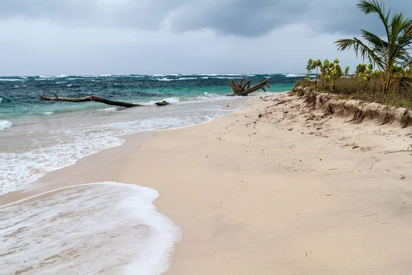 Isla Zapatilla Island, Bocas del Toro adalar, Panama parçası Beach