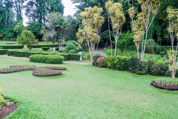 Terrenos Belos Jardins Botânicos Reais Peradeniya Perto Kandy Sri Lanka — Fotografia de Stock