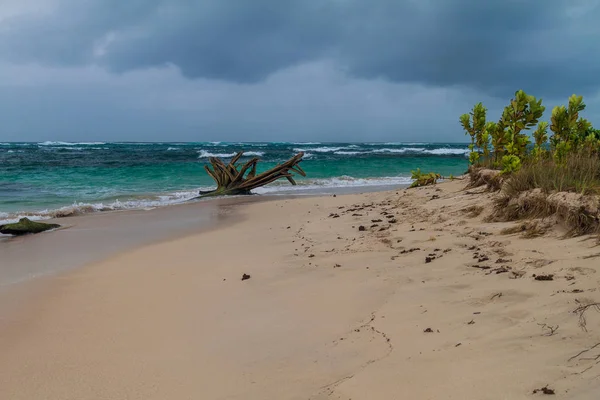 Spiaggia Sull Isola Isla Zapatilla Parte Dell Arcipelago Bocas Del — Foto Stock