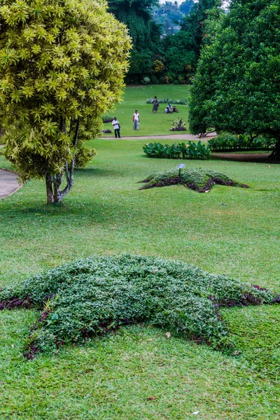 Kandy Sri Lanka Julho 2016 Pessoas Visitam Belos Jardins Botânicos — Fotografia de Stock