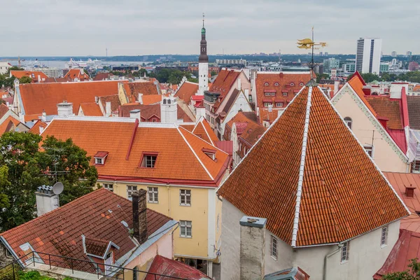 Çatı Old Town Tallinn, Estonya