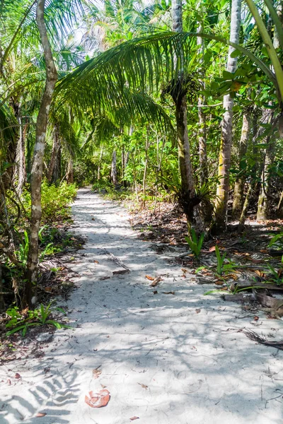 Hiking trail Cahuita Milli Parkı, Kosta Rika