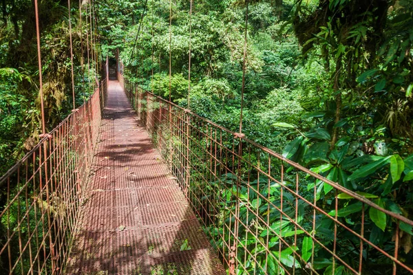 Hängbro Det Moln Skog Reserva Biologica Bosque Nuboso Monteverde Costa — Stockfoto