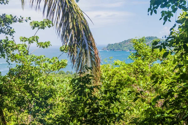 Costa Dell Oceano Nel Parco Nazionale Manuel Antonio Costa Rica — Foto Stock