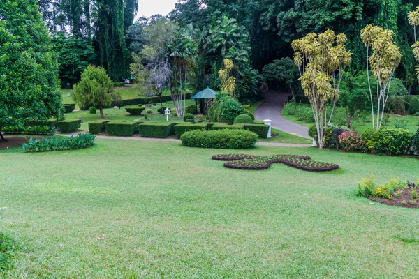 Terrenos Hermosos Jardines Botánicos Reales Peradeniya Cerca Kandy Sri Lanka —  Fotos de Stock