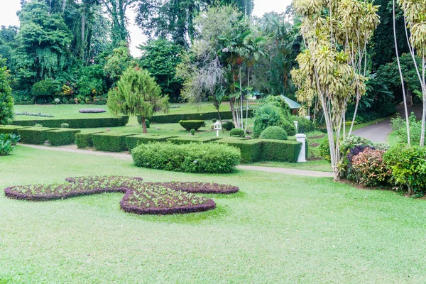 Terrenos Belos Jardins Botânicos Reais Peradeniya Perto Kandy Sri Lanka — Fotografia de Stock