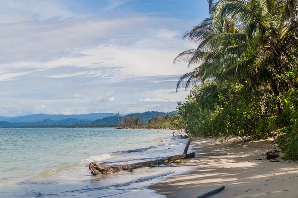 Strand Cahuita Nationalpark Costa Rica — Stockfoto
