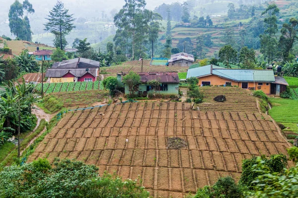 Küçük Kırsal Yerleşim Yakınındaki Nanu Oya Sri Lanka — Stok fotoğraf