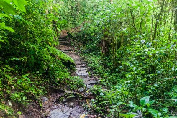 İz Boquete, Panama yakınındaki hiking şelaleler kaybetti