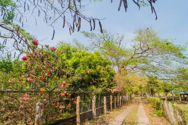 Straße Auf Der Insel Ometepe Nicaragua — Stockfoto