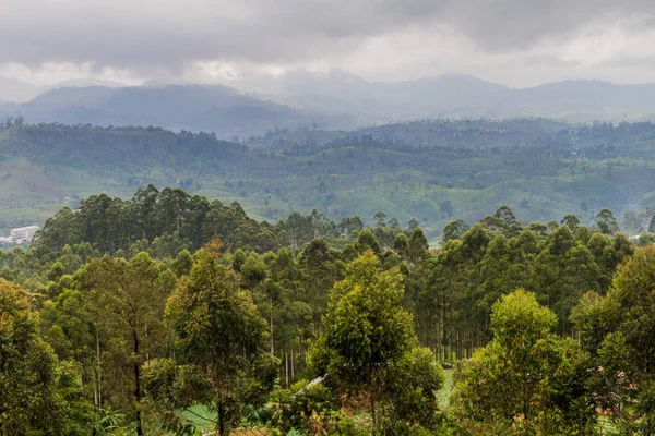 Landschaft Der Nähe Von Nanu Oya Village Sri Lanka — Stockfoto