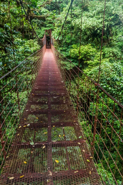 Висячий Мост Облачном Лесу Reserva Biologica Bosque Nuboso Monteverde Коста — стоковое фото